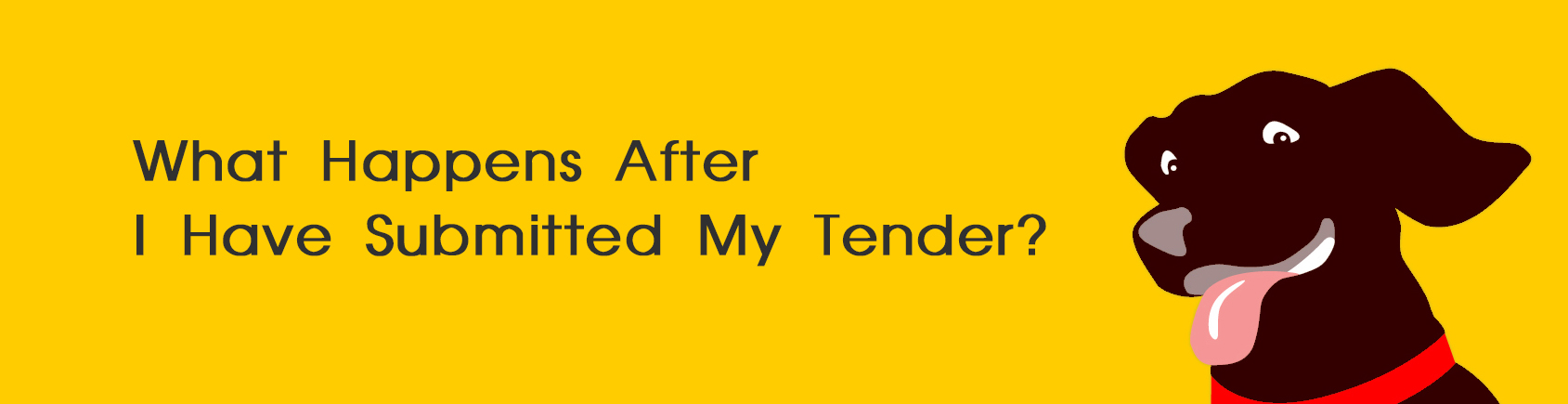 What Happens After the Tender on a house
