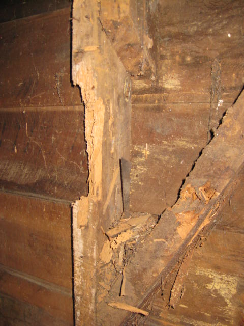 Replacing Sarking with GIB - Cost to Re-GIB - Dry Rot in Wall Framing