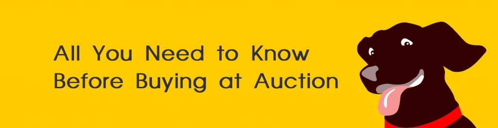 Buying at Auction - Before the Auction